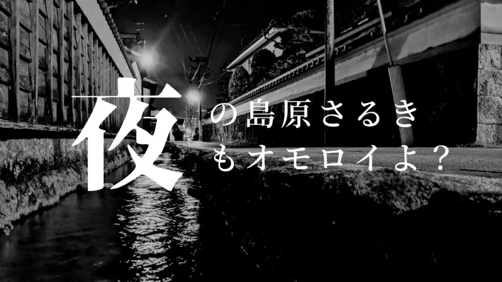 【住民の特権？】『夜の島原さるき』はエモいぞ