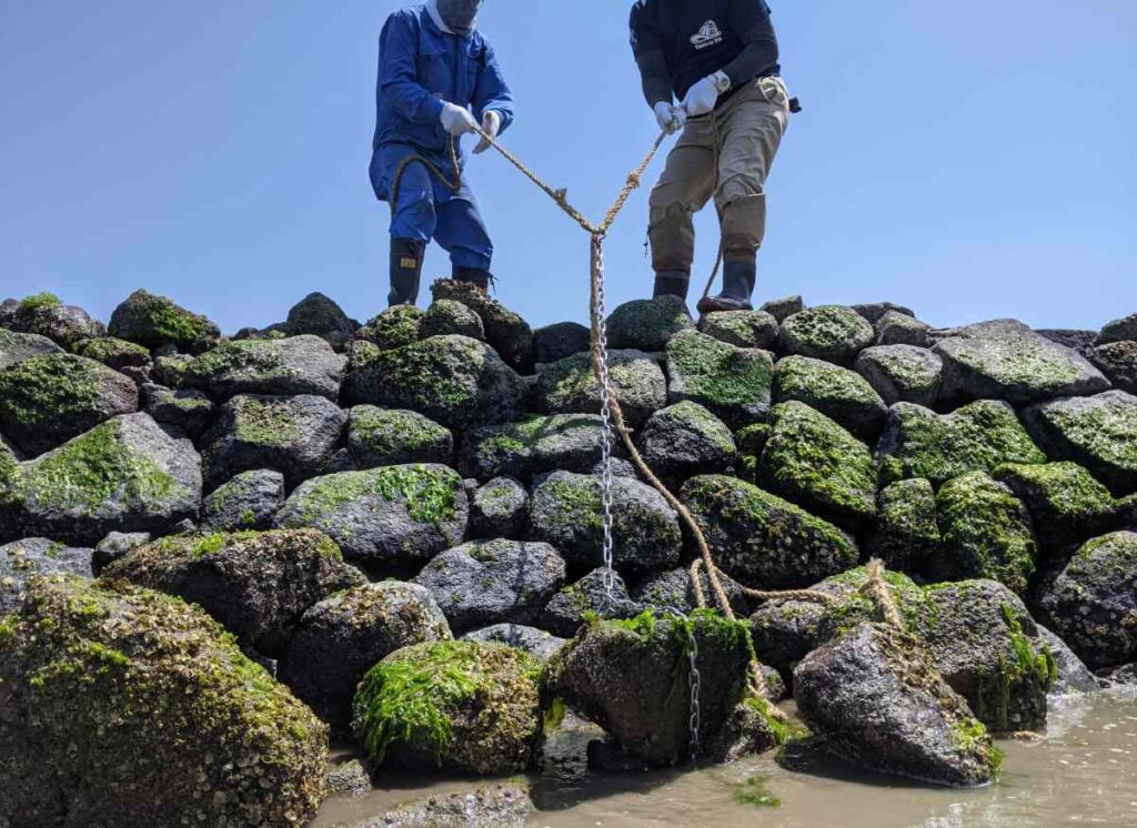 大人もテンションあがる スクイ を島原市民以外にもっと知ってほしい どどん 島原jターン移住記