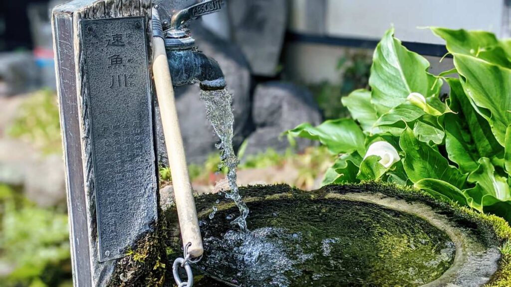 島原「湧水」ポイントまとめ　汲んで、触れて、飲んで「水の都」を楽しもう