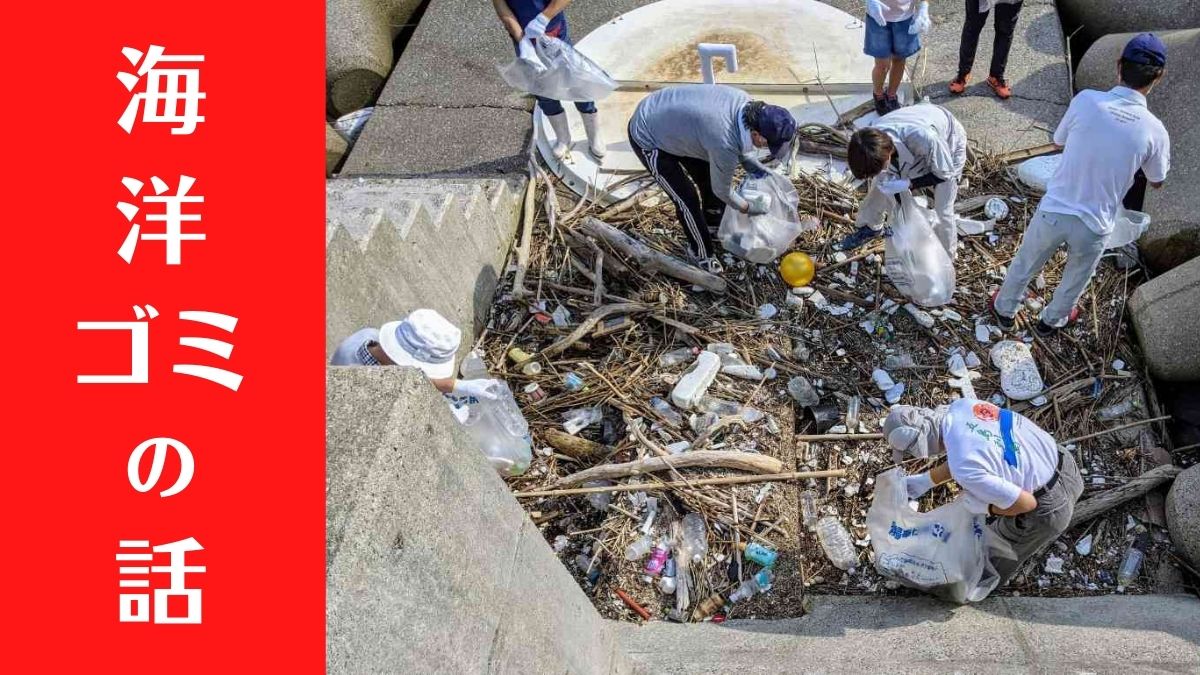 長浜海岸の「すくい」でゴミ拾い　知って欲しい有明海の『海洋ゴミ』の話