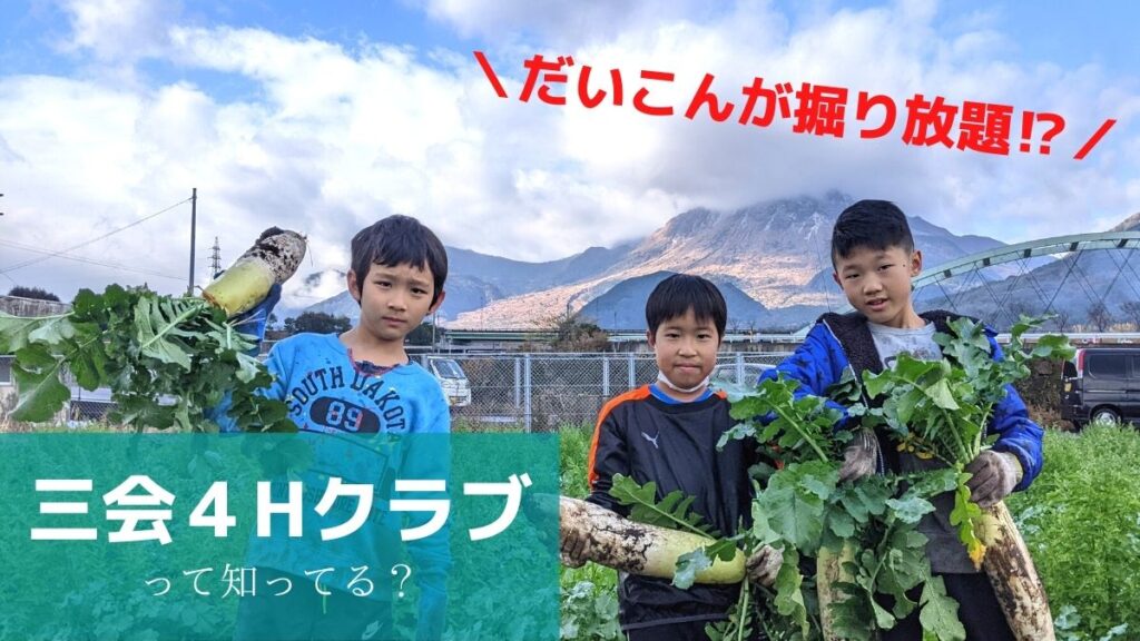 【だいこん掘り放題！？】若手農家集団「三会４Hクラブ」の取り組みがオモシロイ