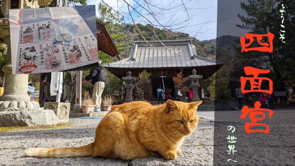 【沼確定】深すぎる「四面宮」の世界　御朱印巡りで感じる島原半島